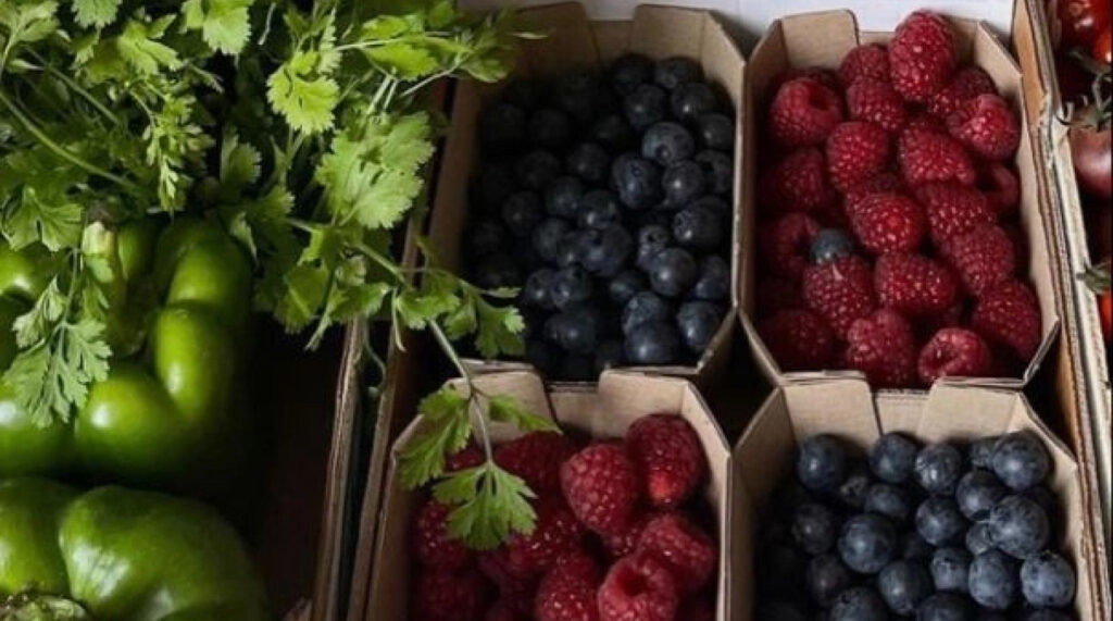 Anti-inflammatoires naturels : l&rsquo;alimentation au service de la récupération - image principale